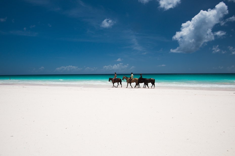 Zanzibar Beach Horse Riding