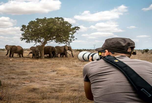 Tanzania Photographic Safari