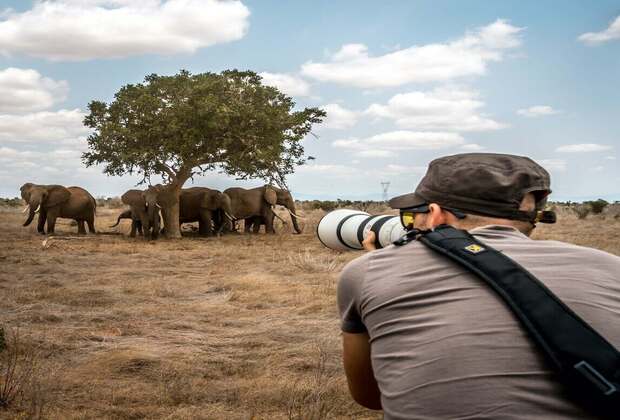 Tanzania Photographic Safari