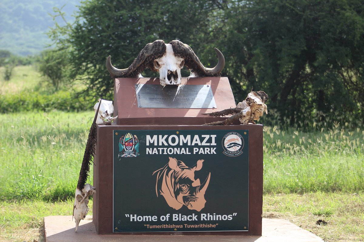 Mkomazi National park