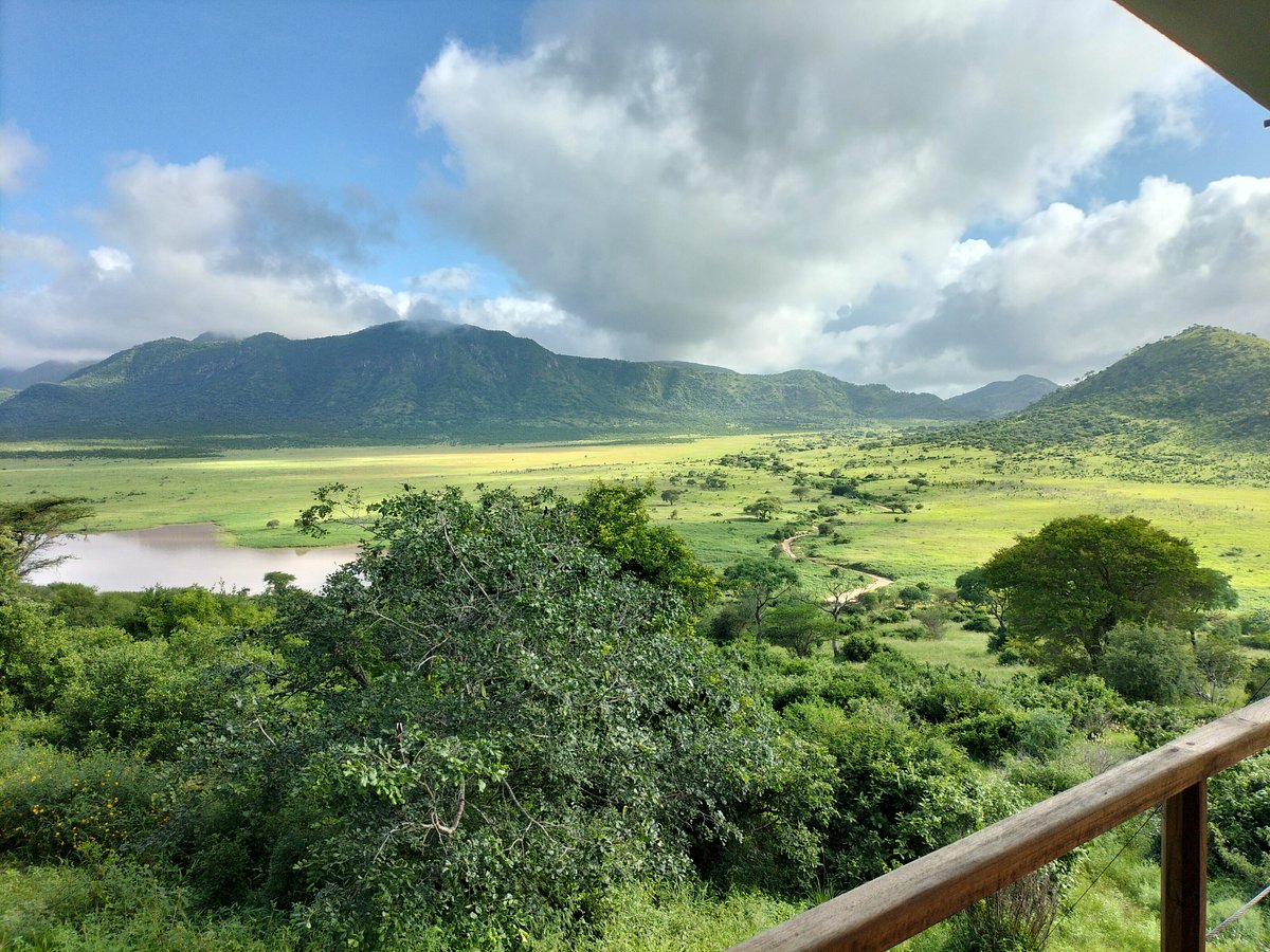 Mkomazi National park