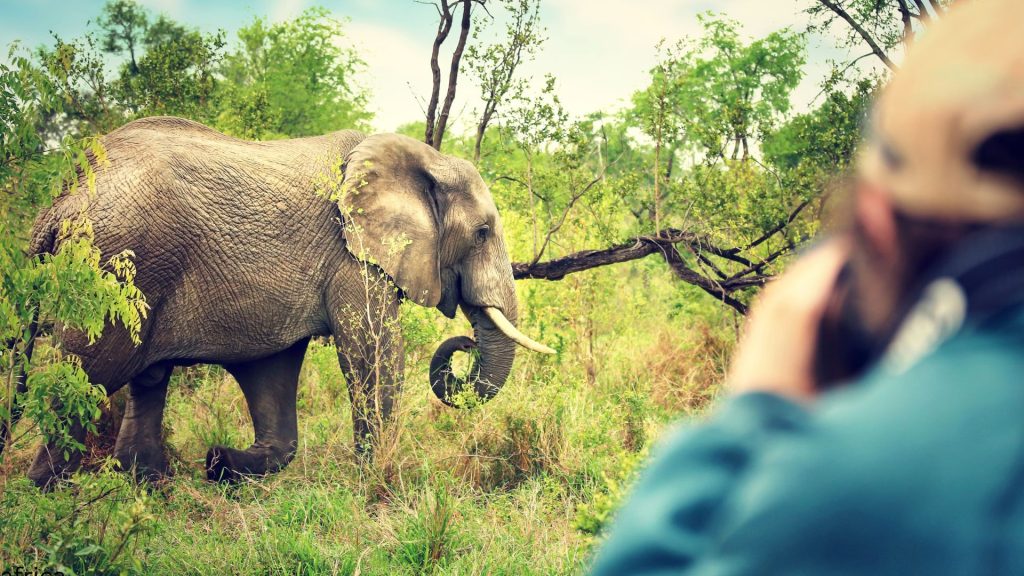 Tanzania safari in May