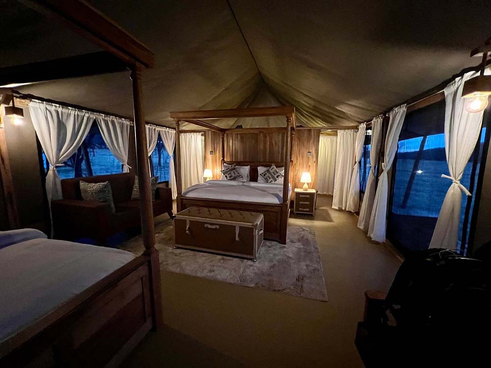 into wild africa luxury tented safari camp