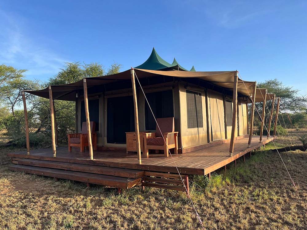 into wild africa luxury tented safari camp