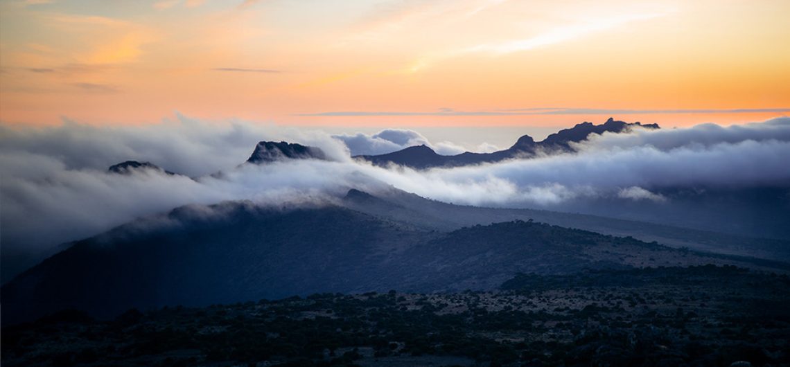 kilimanjaro Luxury Climb