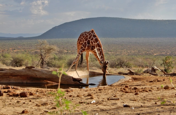 Tanzania 5 days safari