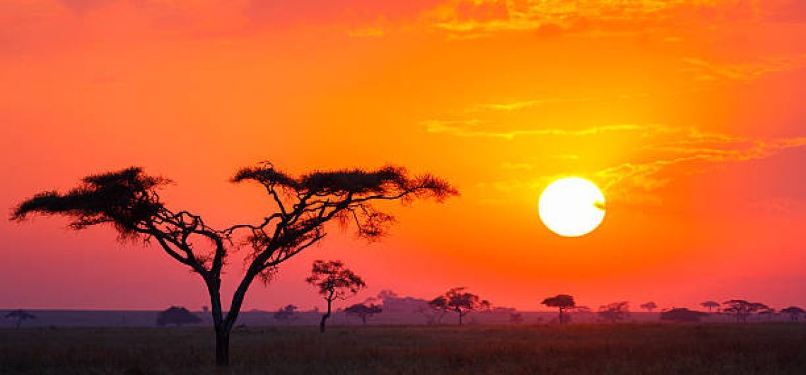 Temperature in Tanzania