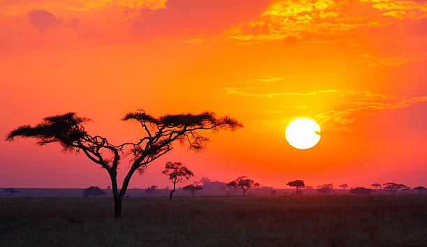 Temperature in Tanzania