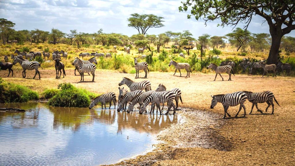 Vacation to Tanzania