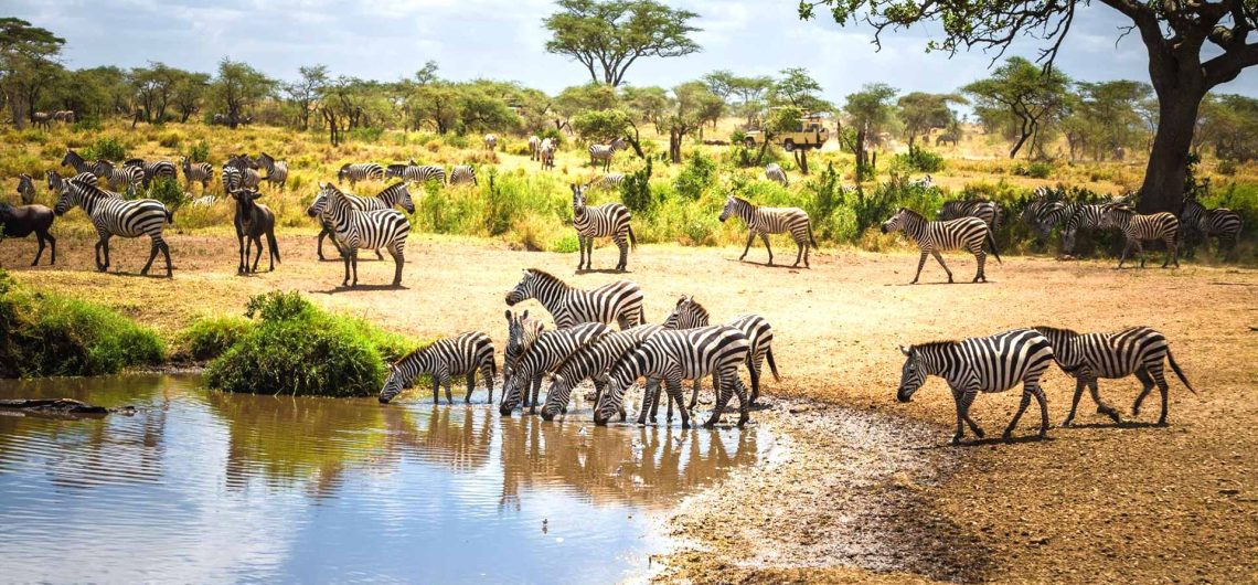 Vacation to Tanzania