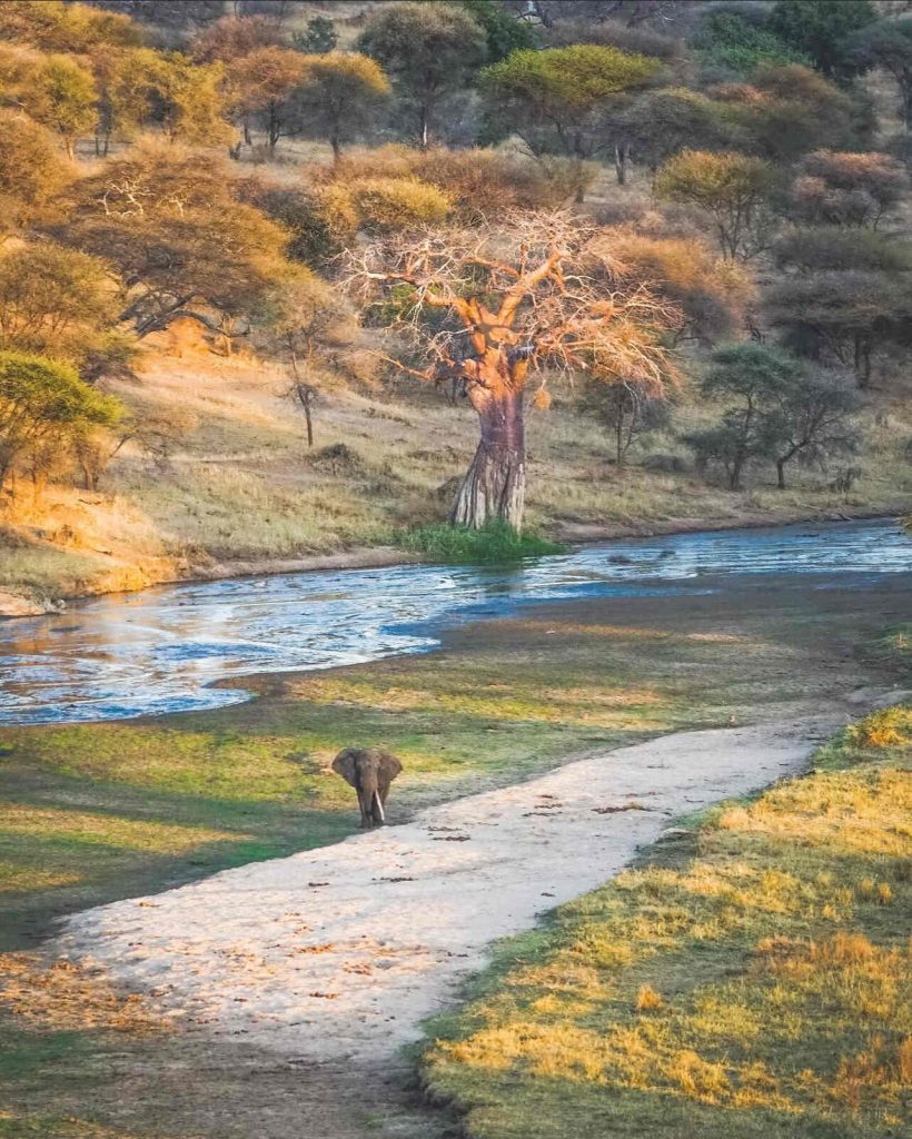 Tanzania Easter Holiday Safari Packages