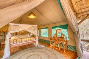 deluxe tanzania safari