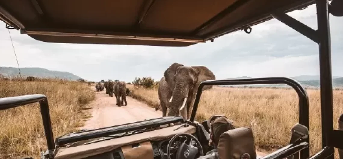 Tanzania safari for cancer patients