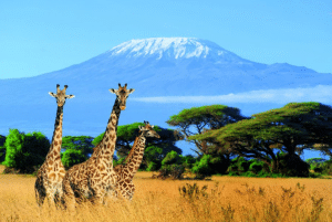 where is Tanzania?