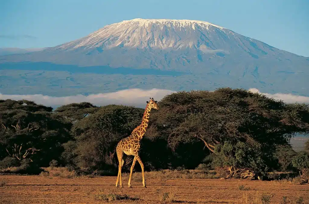 where is mount kilimanjaro?
