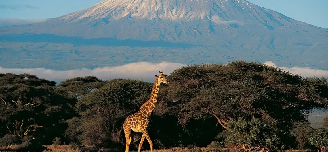 where is mount kilimanjaro?