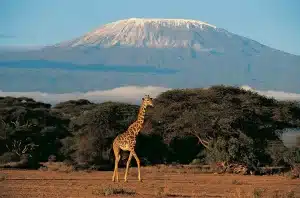 where is mount kilimanjaro?