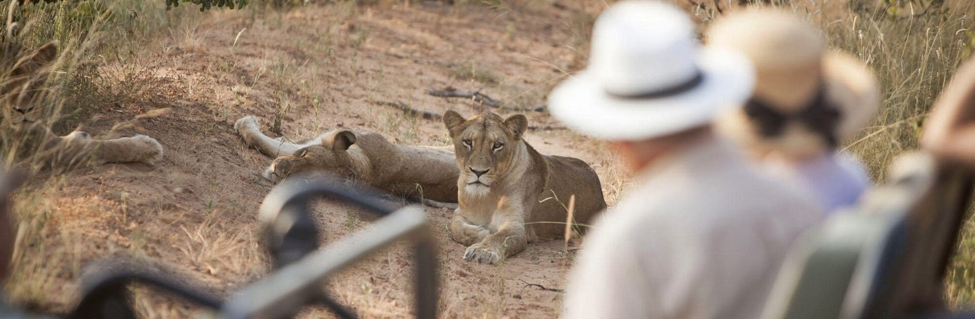 Tanzania luxury safari for seniors