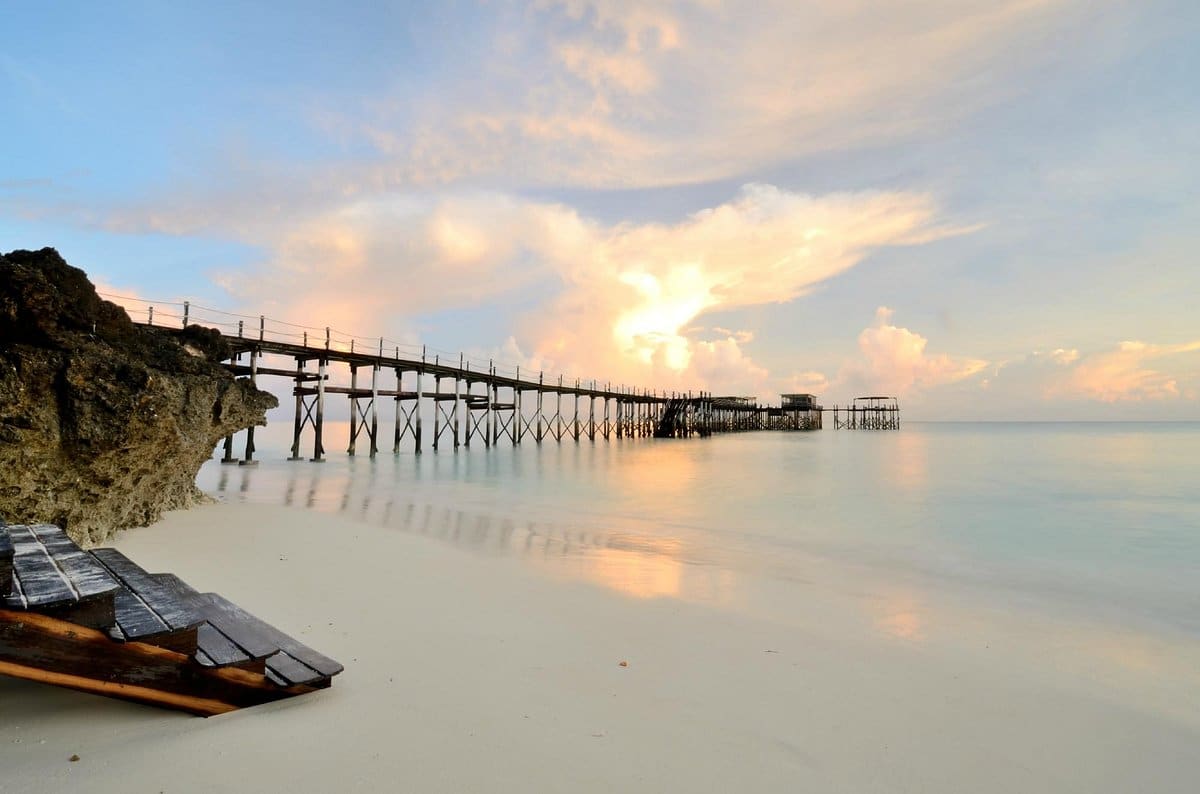 essque-zalu-zanzibar