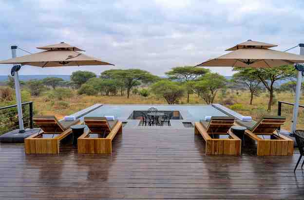 Vegan Gluten Free Tanzania Safari