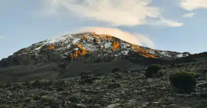 10 days Trekking and safari
