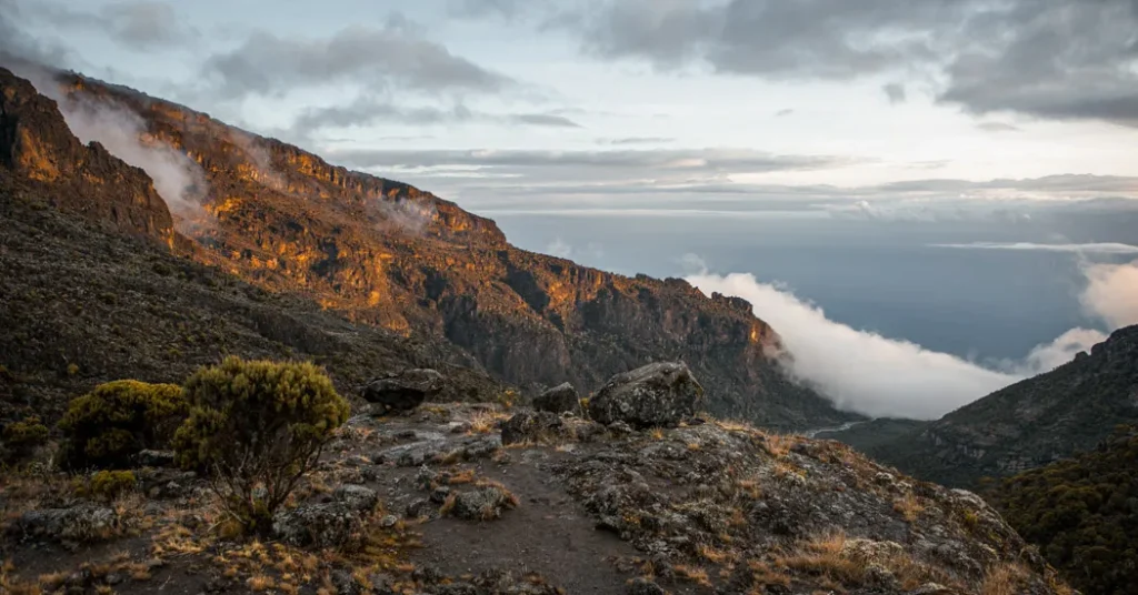 6 Days Kilimanjaro Shira Route