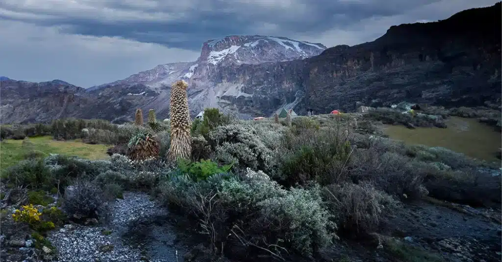 5 Days Kilimanjaro Marangu Route