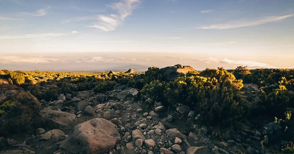 7 Days Kilimanjaro Lemosho Route_Descent_01