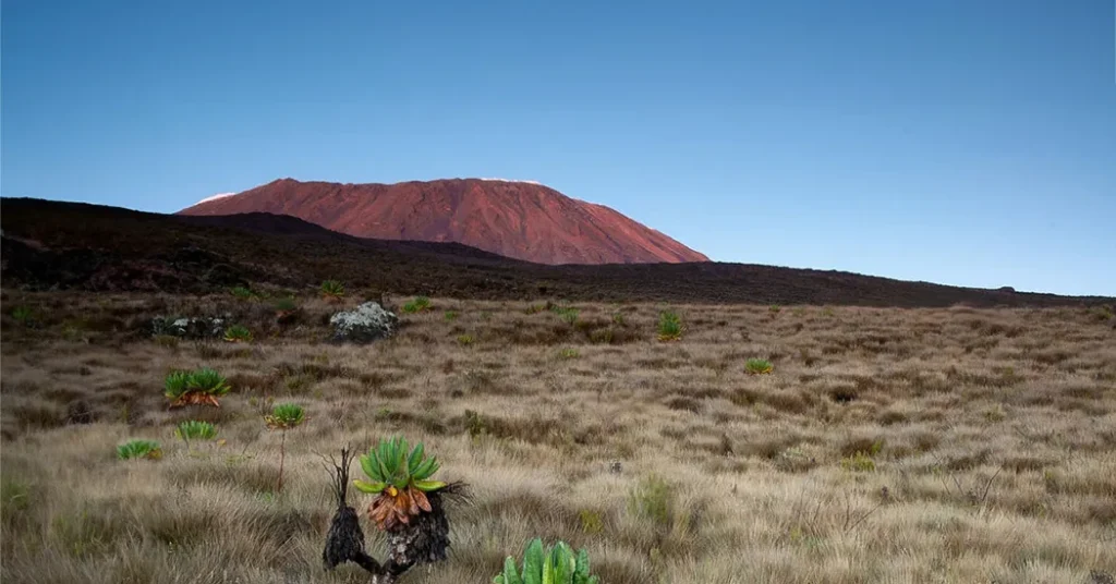 6 Days Kilimanjaro Umbwe Route