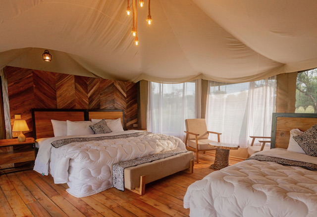 moyo tented camp