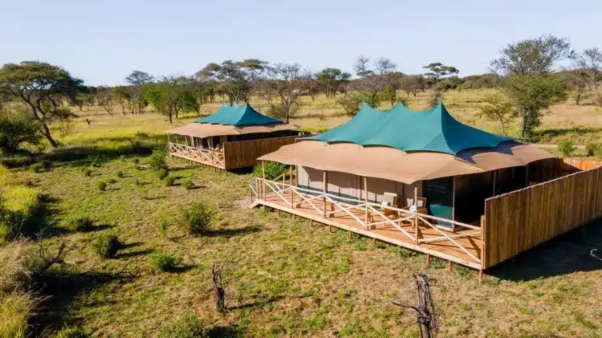 Tanzania Safari for Diabetic Travelers