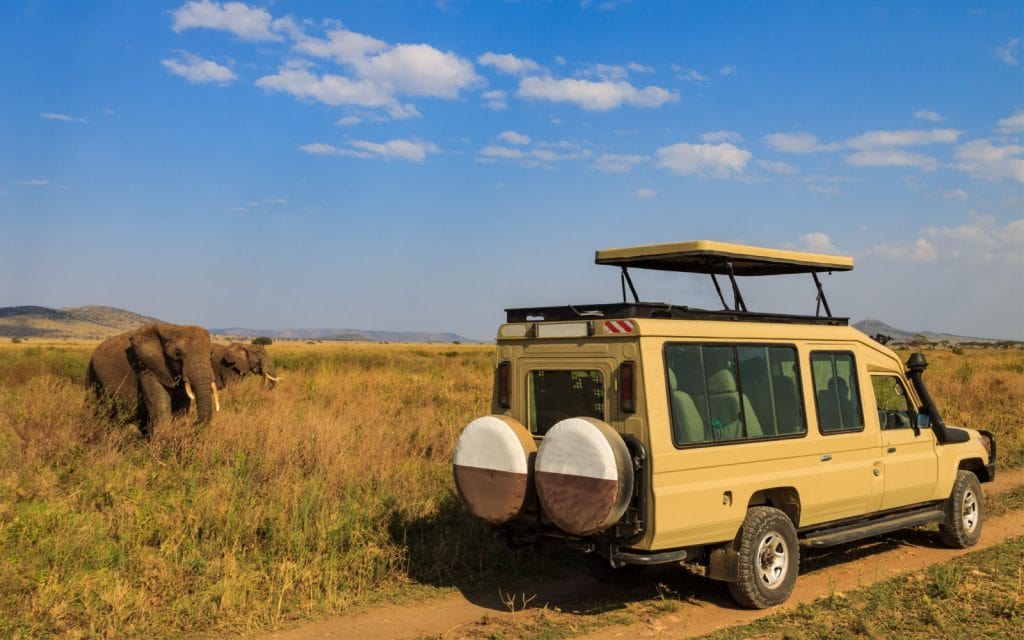 Tanzania Safari With French Speaking Guide