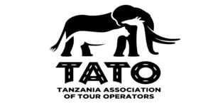 tato kiwoito