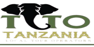 tlto kiwoito
