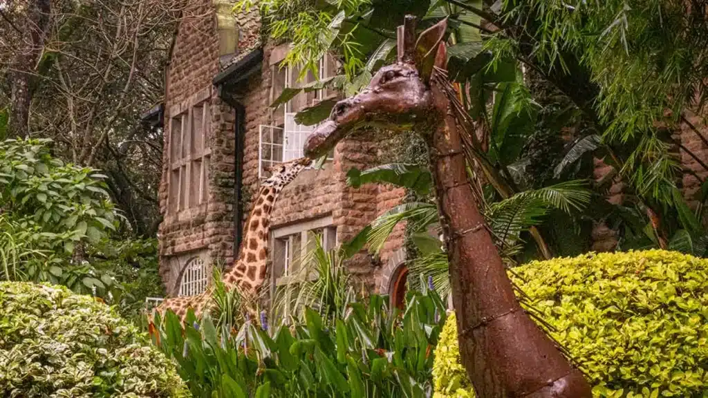 manoir de girafe
