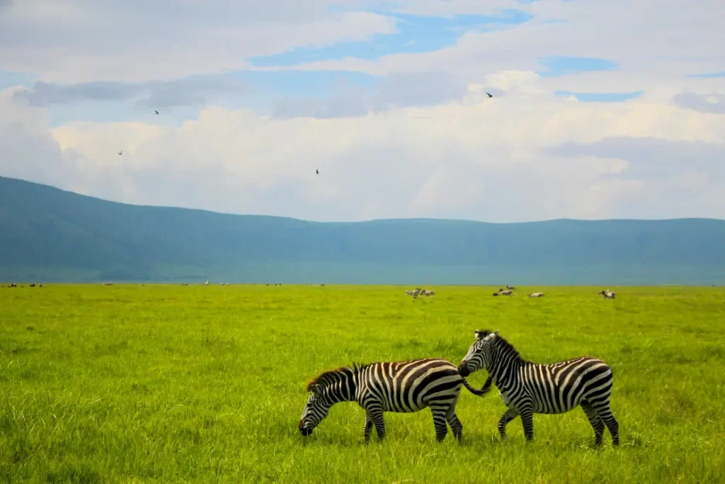 ngorongoro crater