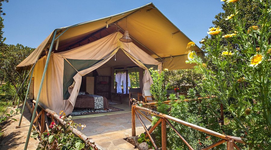 Rhino Watch Safari Lodge
