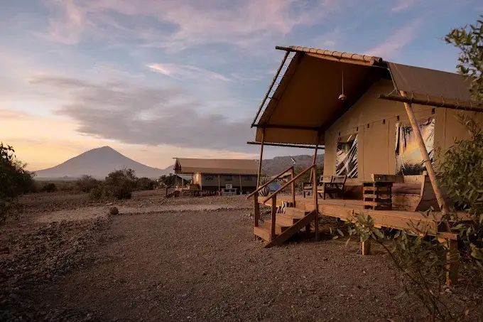 africa safari natron