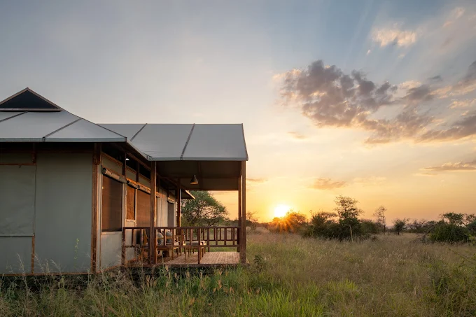 4 Days Tanzania Standard Safari