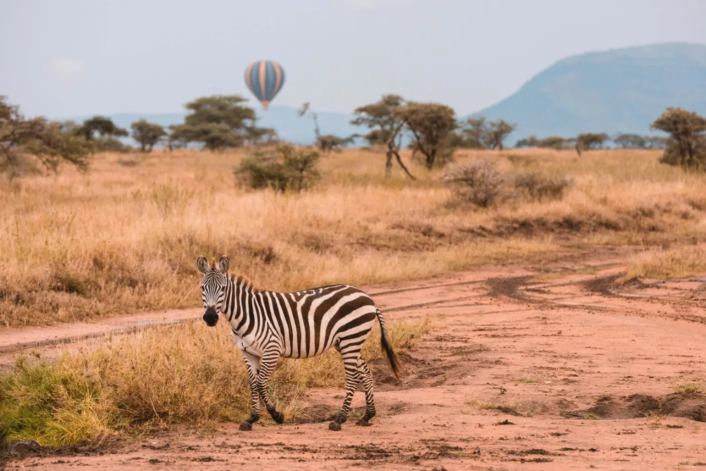 Tanzania And Kenya Luxury Safari