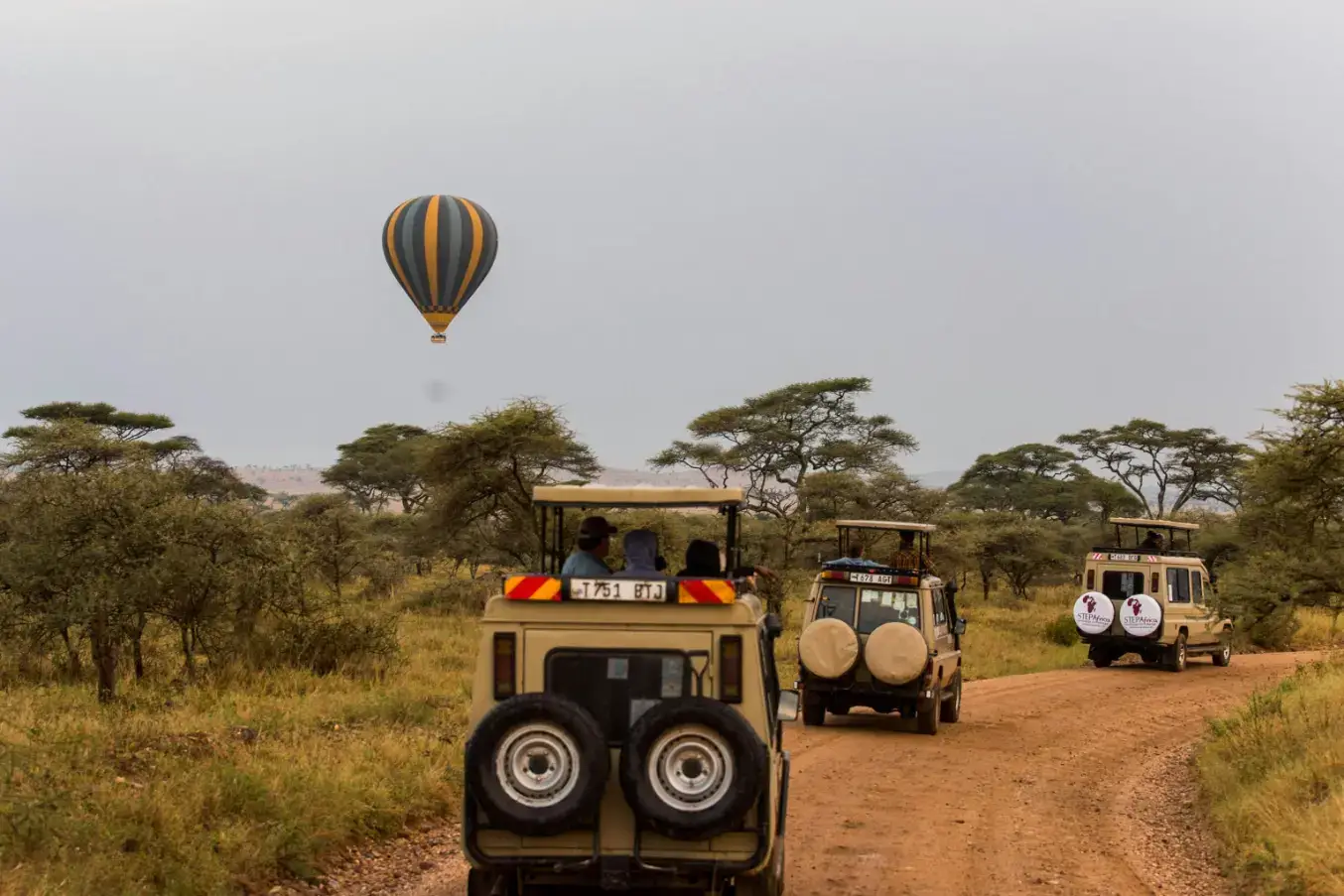 2 week Tanzania safari