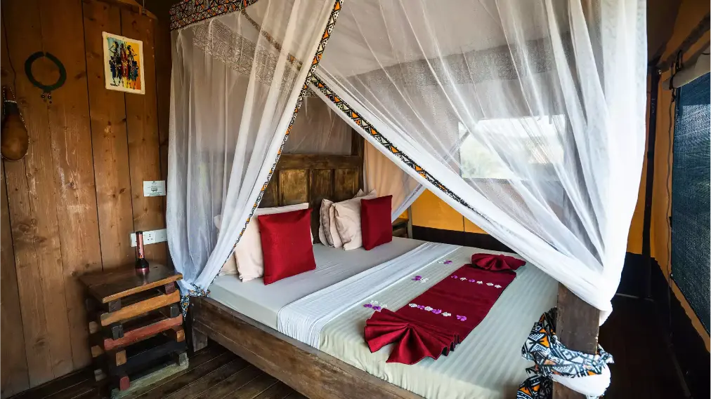 Africa Safari Lake Natron