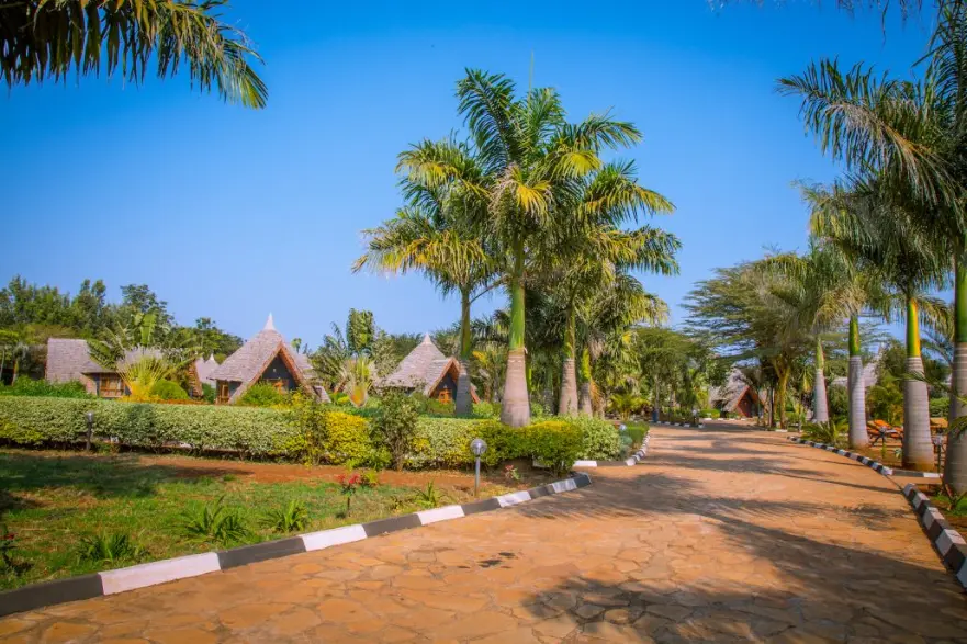 farm of dreams karatu