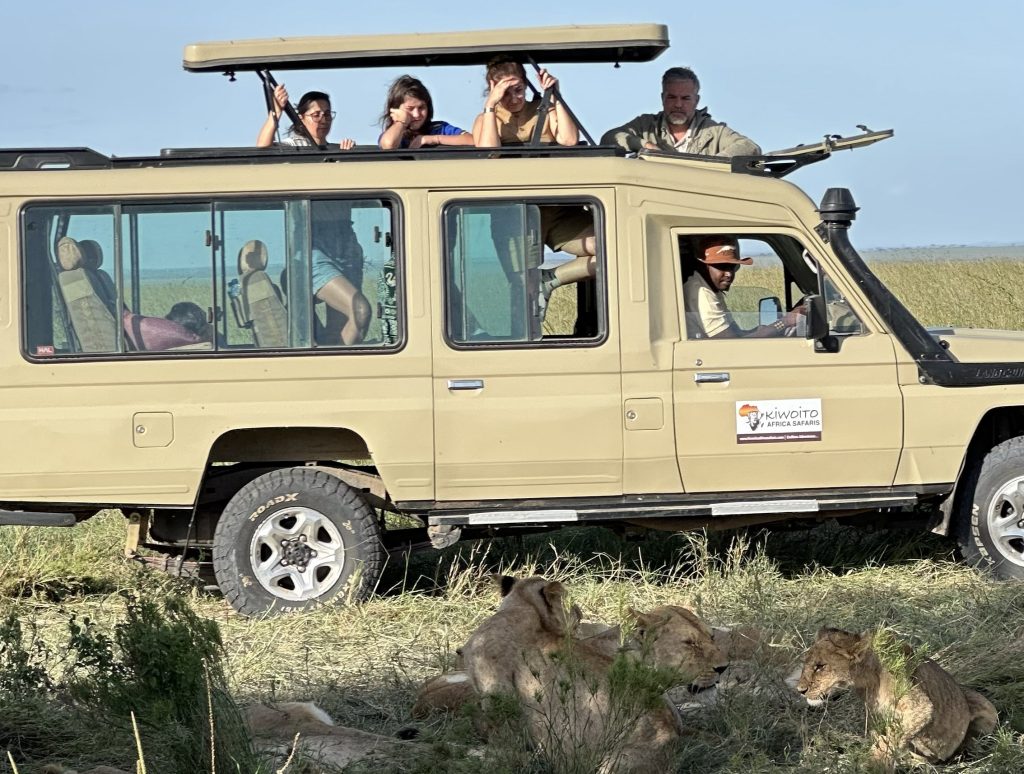 Safari di gruppo in Tanzania