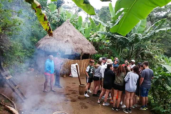 group joining safari