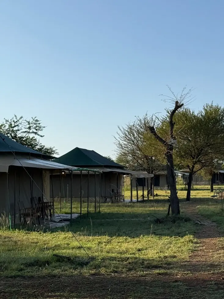 harmony-safari-camps