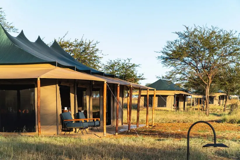 harmony-safari-camps