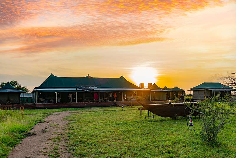 serengeti heritage camp
