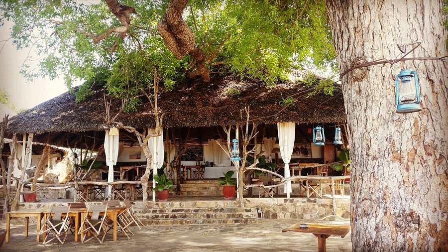 mikumi wildlife camp