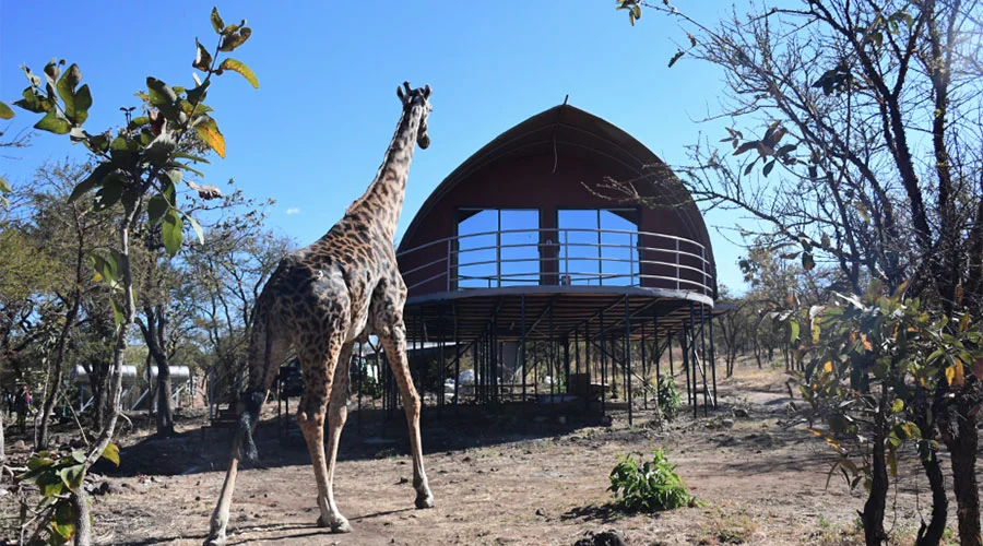 ngorongoro wild camp
